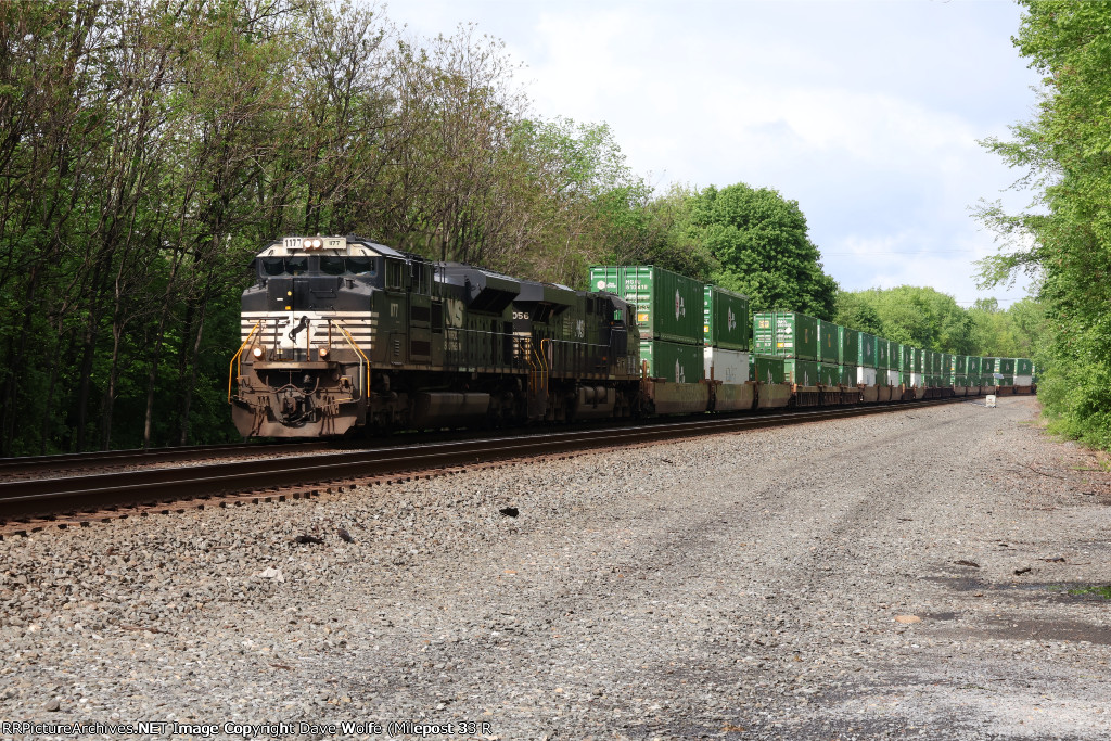 NS 1177